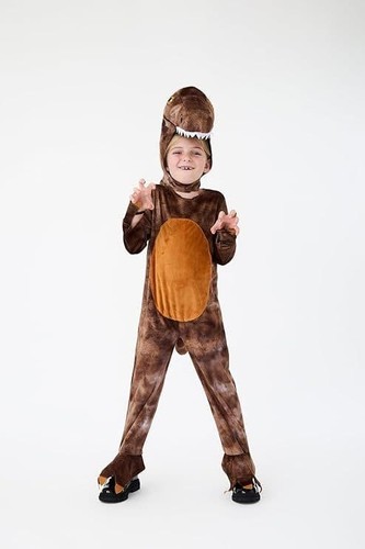 Kids rex dinosaur costume - dinosaur,