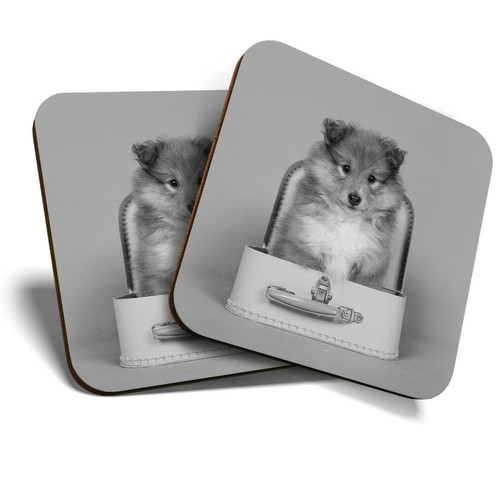 Coasters shetland - (bw),