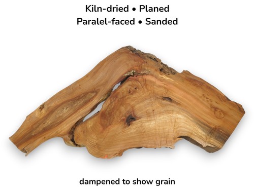 Natural alder live edge tree - natural,