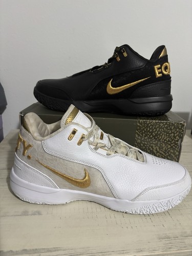 Nike zoom lebron nxxt - nxxt, ampd