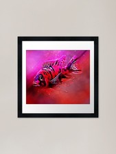 OB Peacock Cichlid Framed Art
