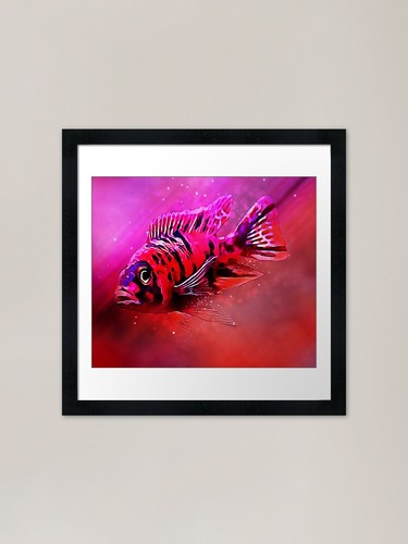 Peacock cichlid framed art - ob,