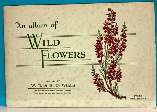 Album wild flowers - an,