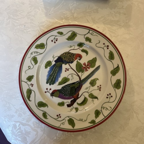 Lynn chase parrots - lynn, of