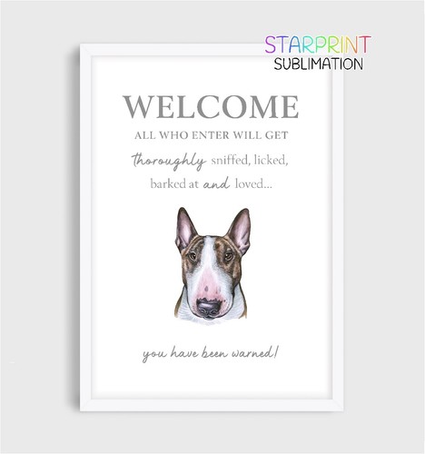 Bull terrier welcome - bull,