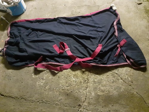 Horse show rug - show,