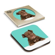 1 x Boxed Square Coasters - Cute Old English Bulldog Puppy Dog  #21422