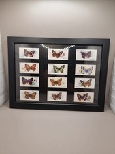 Framed John Player Vintage