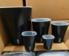 Glossy black self - self, watering