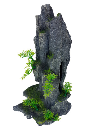 Attractive tall rock peak - tall, with