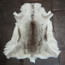 Beautiful Toast Home Natural