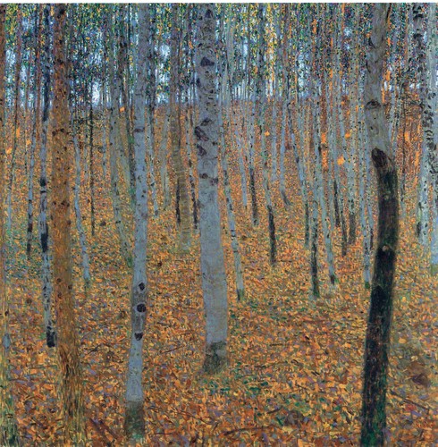 Beech forest klimt - forest,
