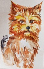 Yorkshire terrier Original Dog