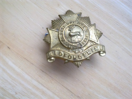 The bedfordshire regiment - the,
