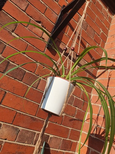 Macrame bead plant hanger - bead,
