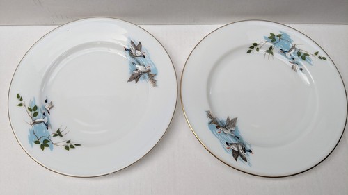 Vintage jaj pyrex wild - wild, fowl