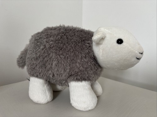 Herdy lake district - district, sheep