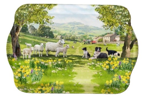 Small snack tray collie - collie, &