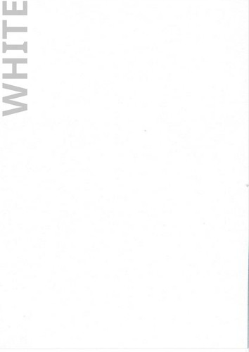 Vertical blind slats - blind,