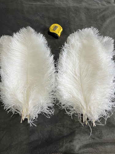 White large plume - large,