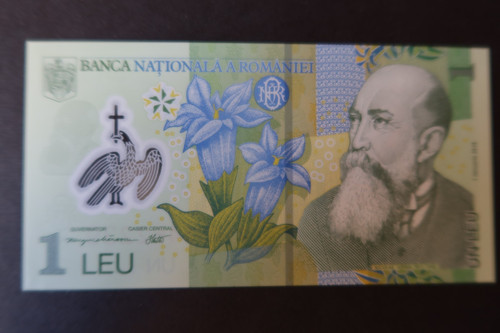Romania 2005 revaluation - romania,