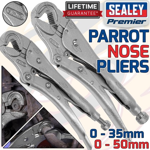 Sealey parrot nose - sealey,