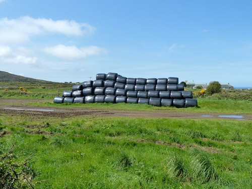 Photo 6x4 silage - 6x4, bales