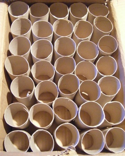 Empty toilet paper - toilet,