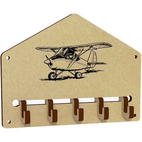 Microlight aircraft wall - 'microlight, aircraft'