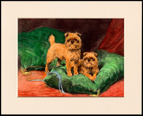 Brussels griffon dog art - brussels,