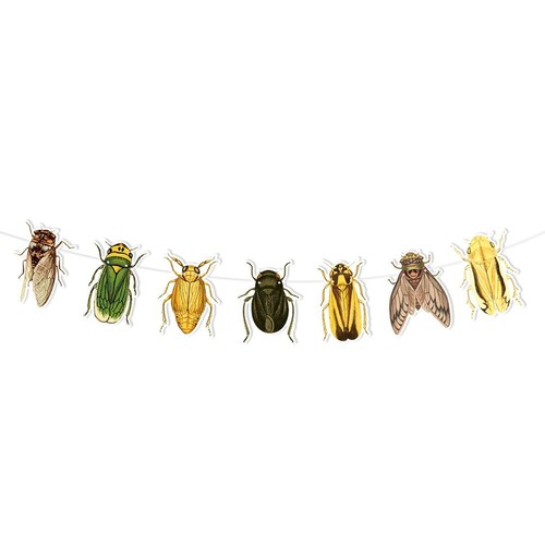 Insect banner beetle bunting - insect,