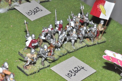 28mm medieval war roses - medieval,