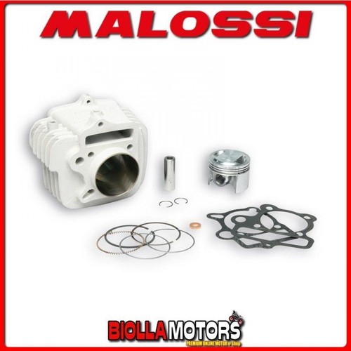 3113438 cylinder kit malossi - 3113438,