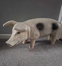 Vintage Gloucester Old Spot