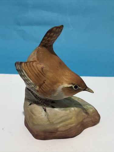 Wren coalport rspb - rspb,