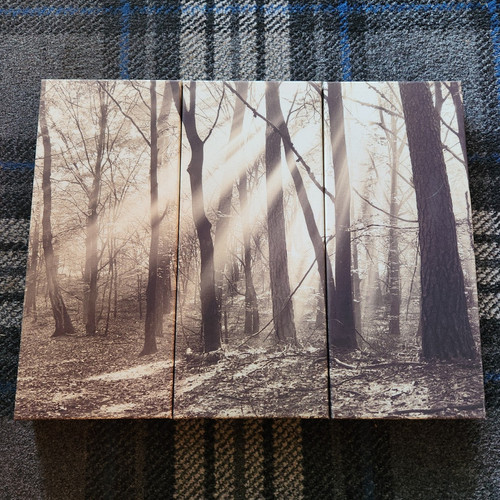Triptych panel forest trees - triptych, 3-panel