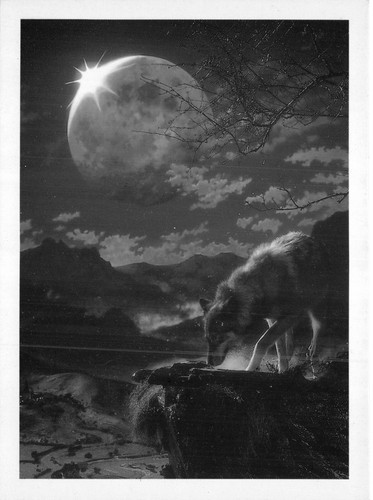 Athena postcard the - athena,