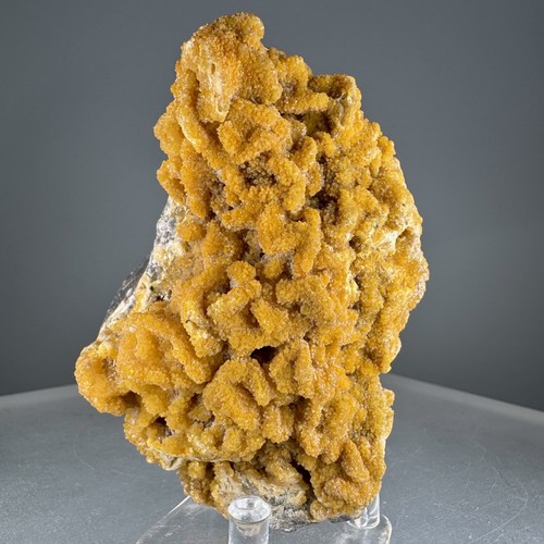 Fine turkey fat - fine, yellow