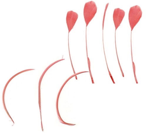Feather pack coque tear - –,