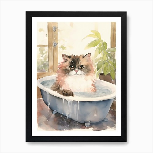Himalayan cat bathtub - himalayan,