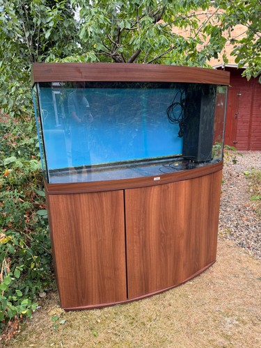 Juwel 260 fish tank - fish, 4ft