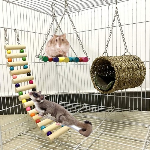 Hamster climbing ladder - climbing, &