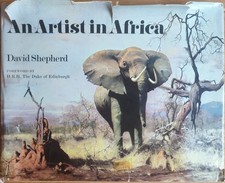 An Artist In Africa, David
