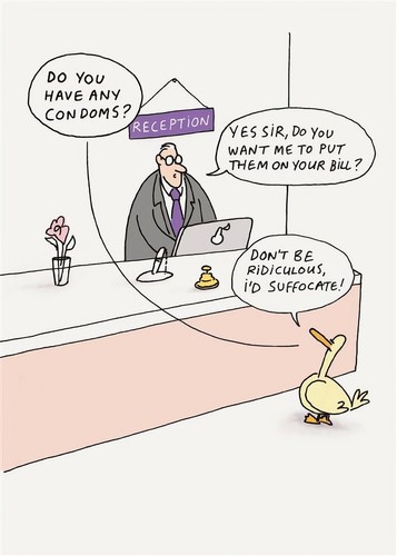 Funny birthday card - funny, condoms