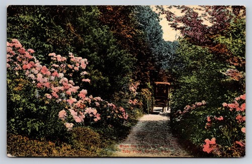 Postcard norfolk - ct,