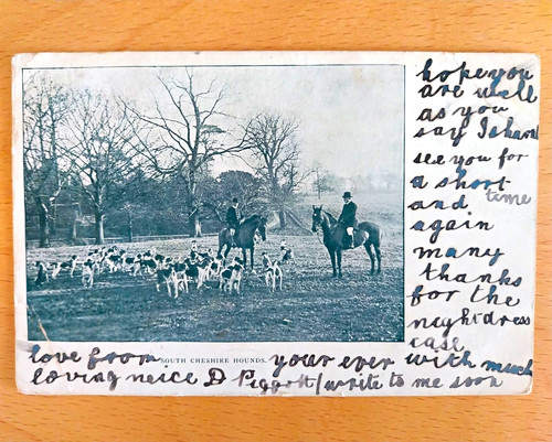 South cheshire hounds - cheshire,