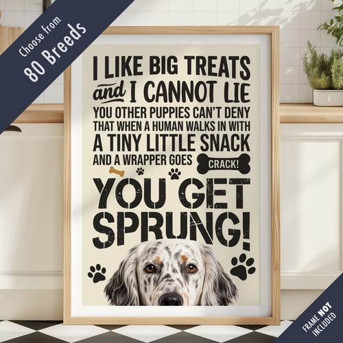 Funny dog treats - dog,