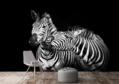Painted zebra animal - 3d,