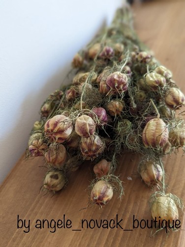 Stems dried nigella - stems,