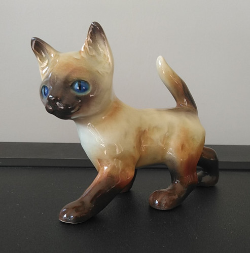 Vintage siamese kitten - siamese,